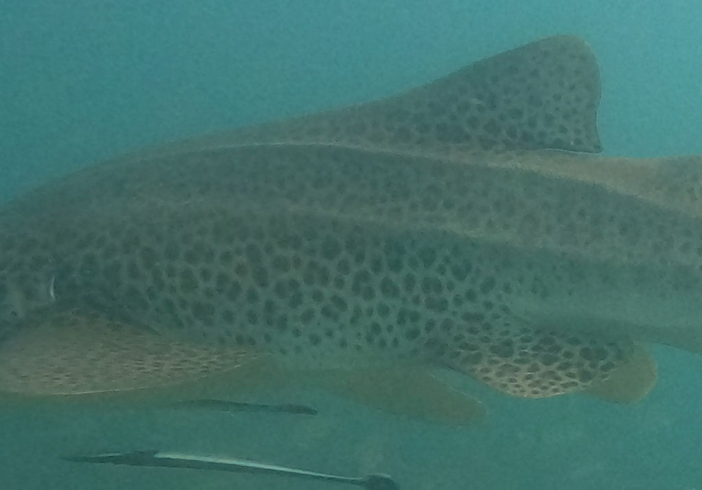 196f84ae-d19b-428a-af2d-013b28048d31