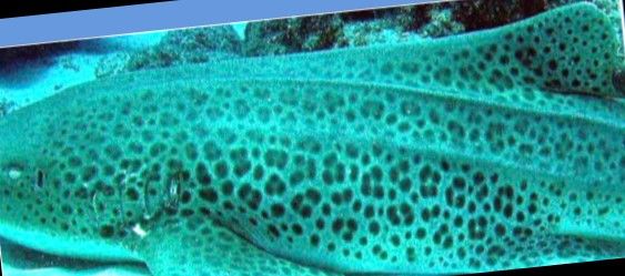 390fdfa4-0884-42f7-8d91-d5f0ded5a047