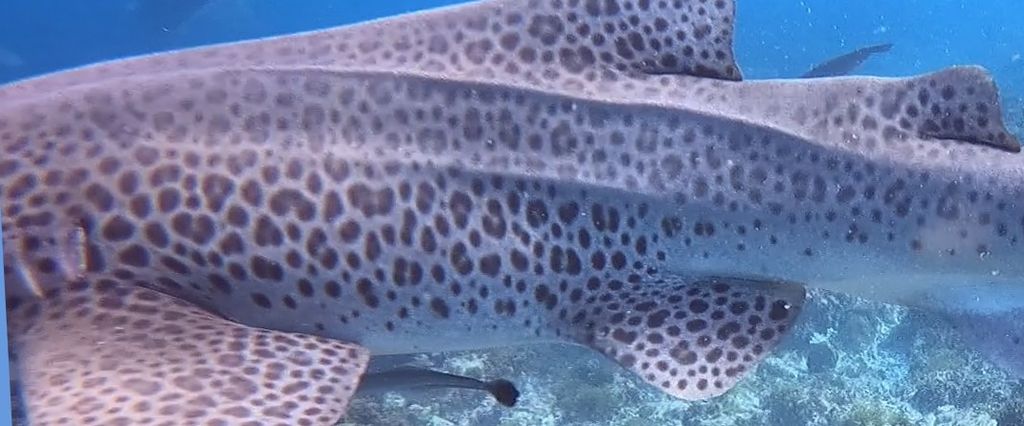 e42ffd1f-b25f-4f48-9209-b5b5a3ef7f56