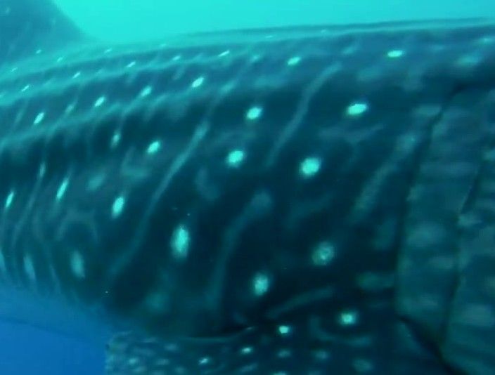 7806bc8e-916b-4cdc-aaee-d8bb68ed799f