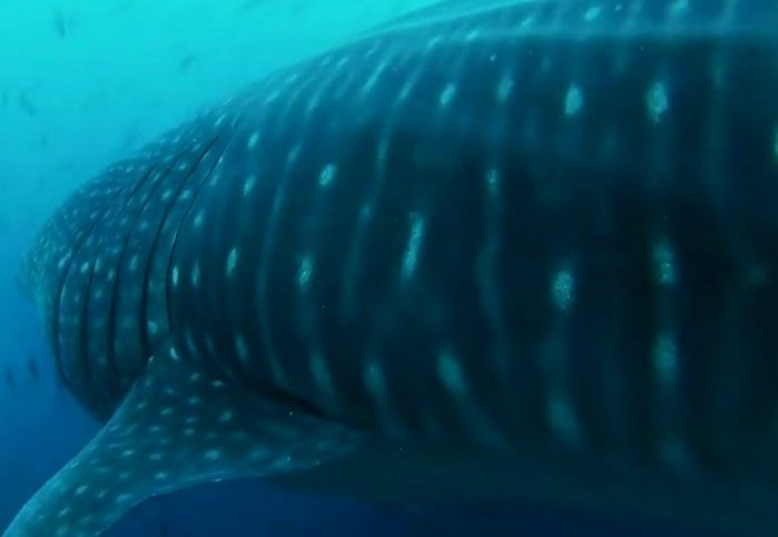 7806bc8e-916b-4cdc-aaee-d8bb68ed799f