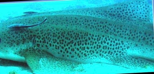 8e2f7691-b6c9-4315-b72e-a2e885de54dd