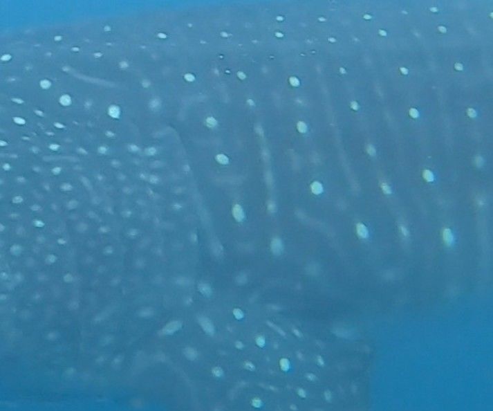 77134333-cc8f-47bc-b79e-42da881181f1