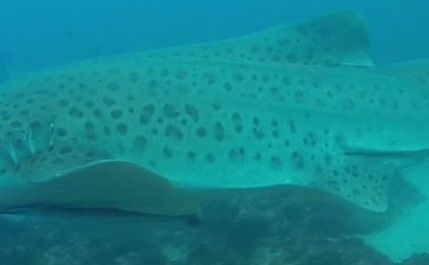 faaa9761-49e9-4217-bdb9-4e0ac8b228e1