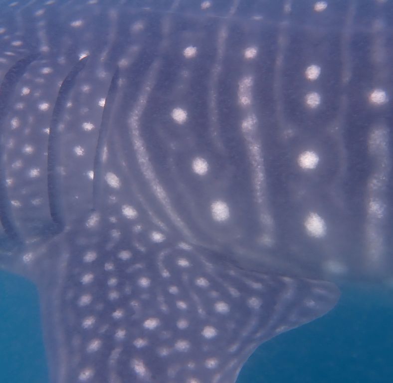 e801a453-6166-4059-b0d1-c34d3bab26a0