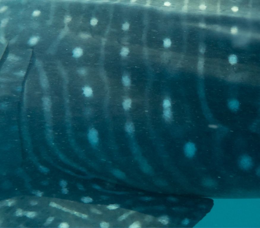 39292beb-132f-4beb-bdaf-7c8606a0a620