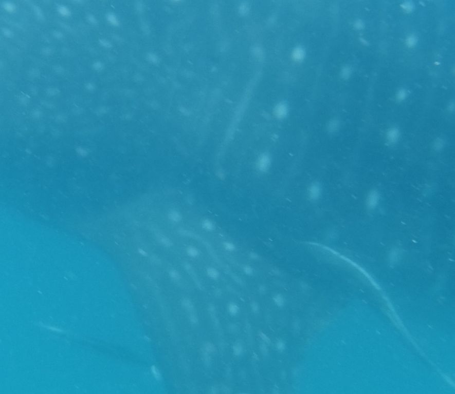 ae74a12c-bd80-40df-8a7e-24e04bc86ca1