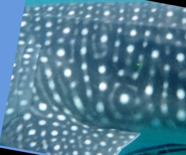 76f2f4b5-0c79-4b11-bba6-4c689d869fdb