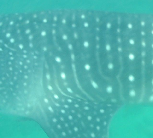 8c90a728-206f-439d-9e9f-c95d2085ba22