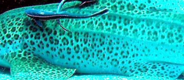 89451067-42b8-45b7-9dec-7cf1cf6407df