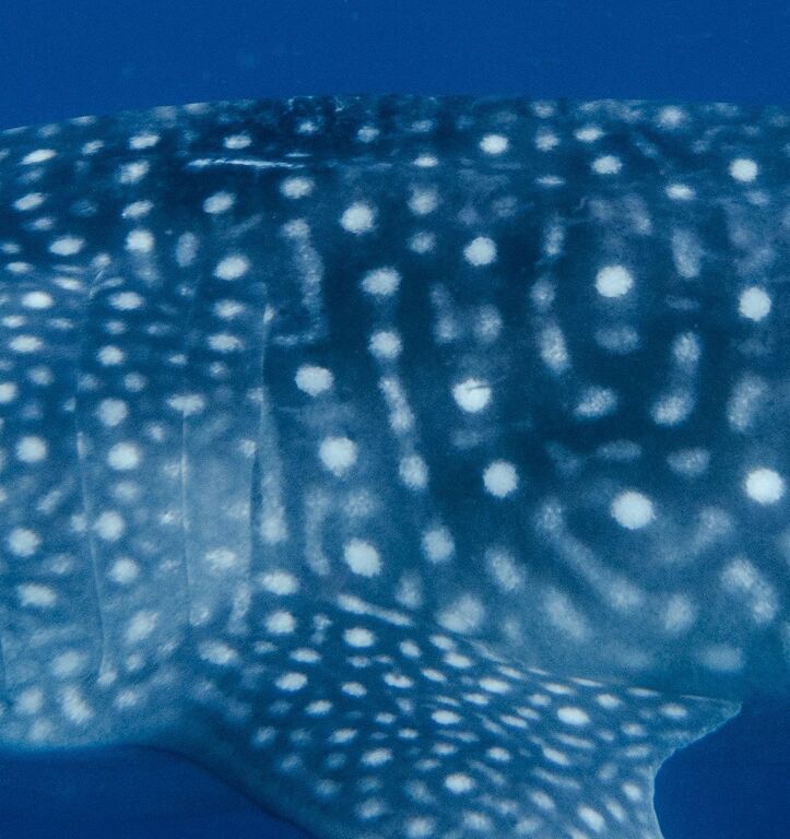 23634c5d-6450-4071-9bd2-814ff81e40a1