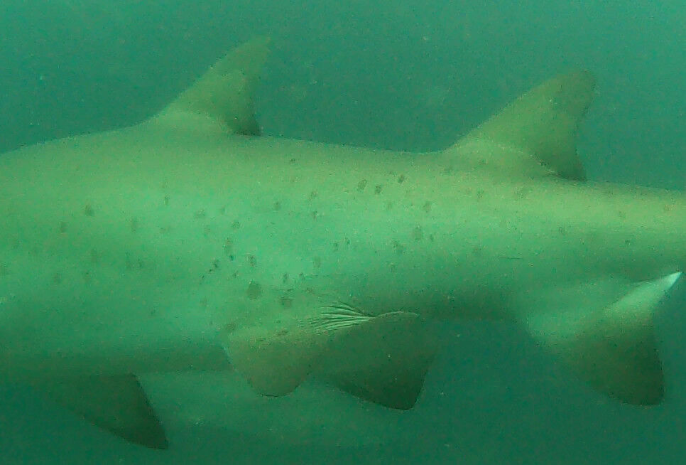 9e2c5d44-7d5f-4ed1-9cb3-5bac88e456c2