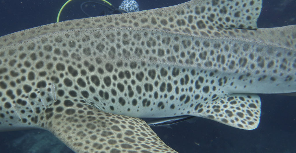 b86a70f1-167d-4770-9c53-54c46d619b00