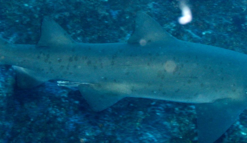 a0ce645e-546e-4fbf-97d5-498ccb4d451e