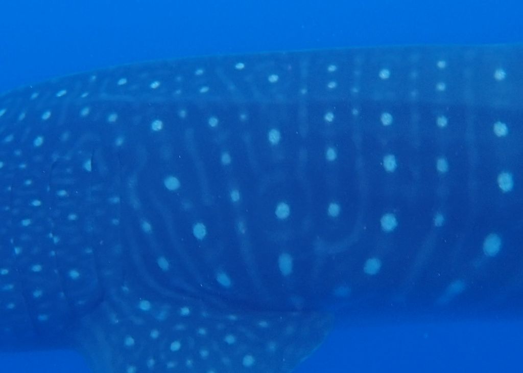 07daa8f4-83af-47d6-b94a-251f5721ebcf