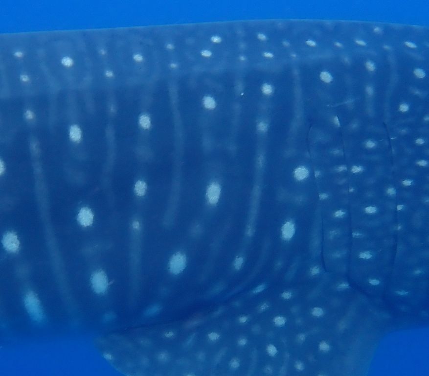 07daa8f4-83af-47d6-b94a-251f5721ebcf