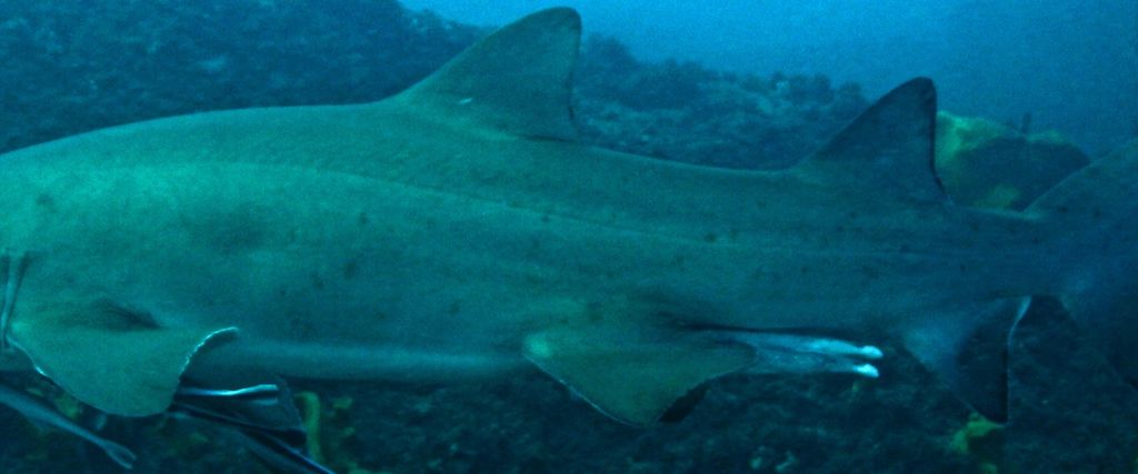 ba29362f-682d-41d0-bf89-715f5252bf56