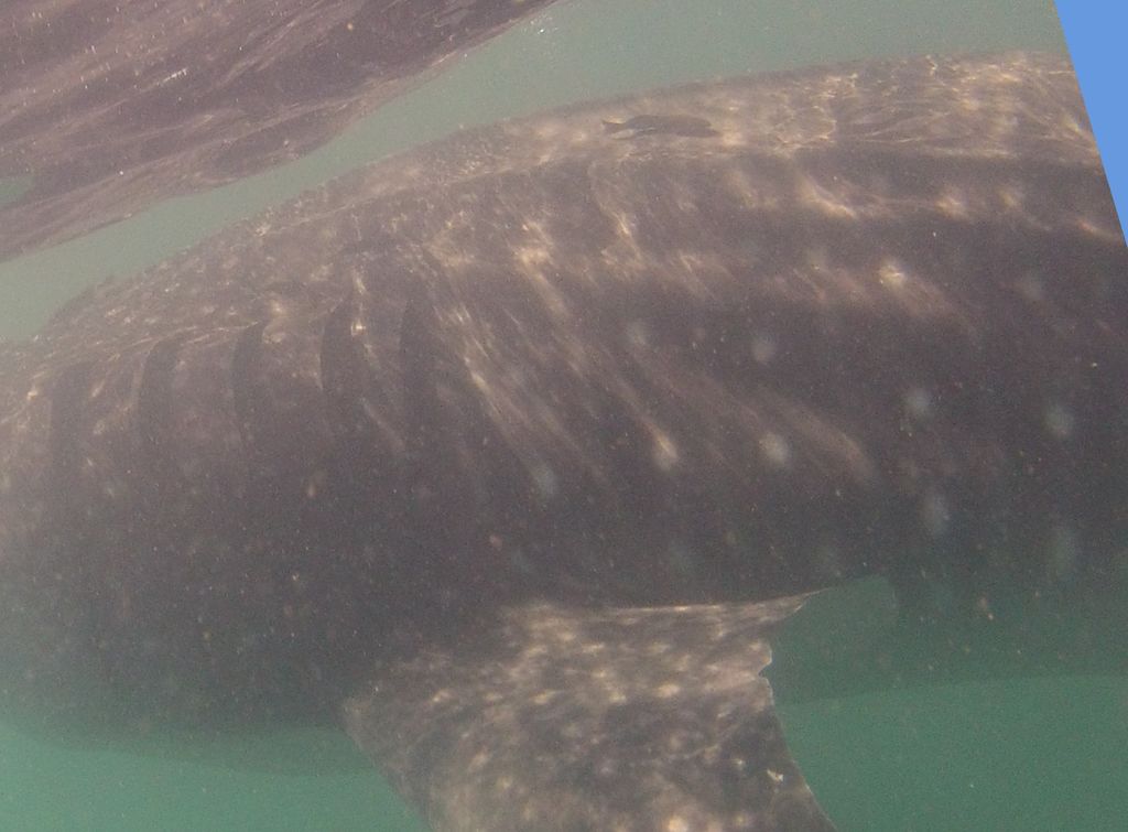 972a240f-f574-465f-9d60-0f9a4f78902f