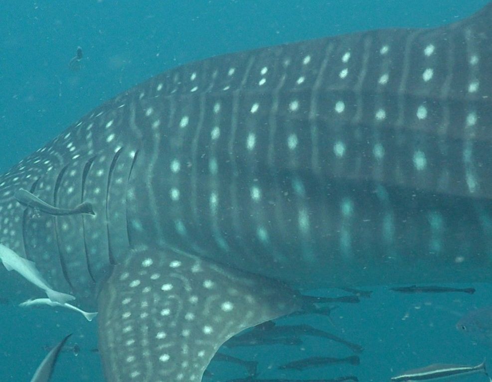 40eca1ae-04a2-4b7b-8fd8-ecb3665cf401