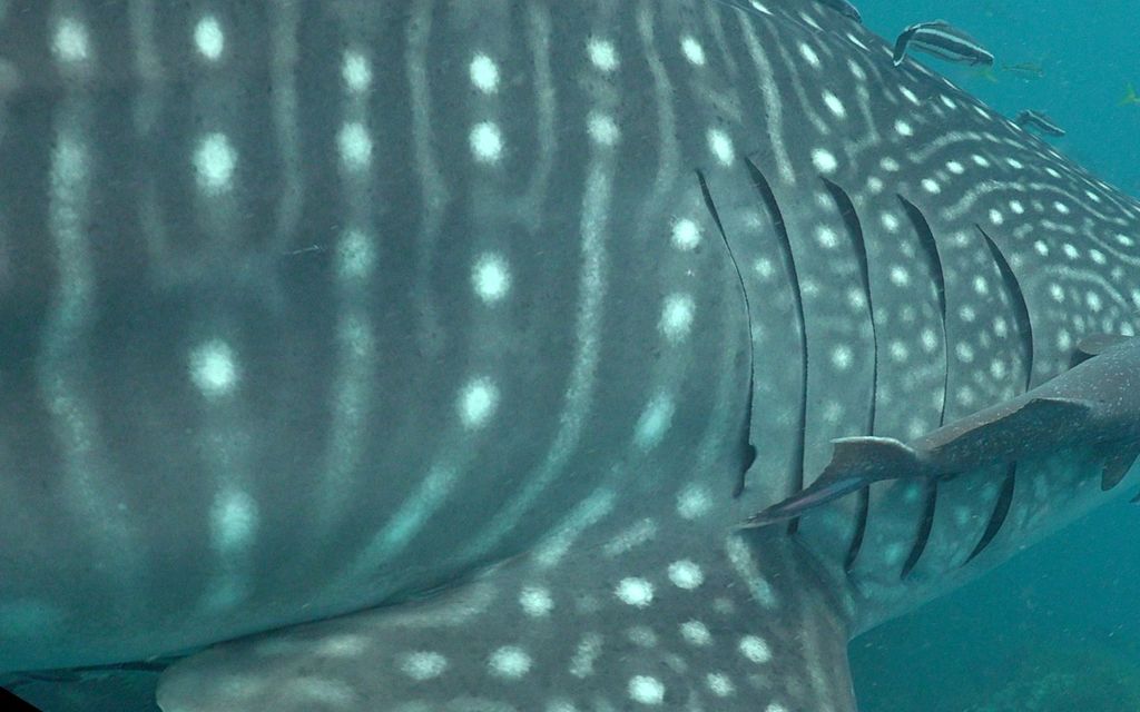 40eca1ae-04a2-4b7b-8fd8-ecb3665cf401