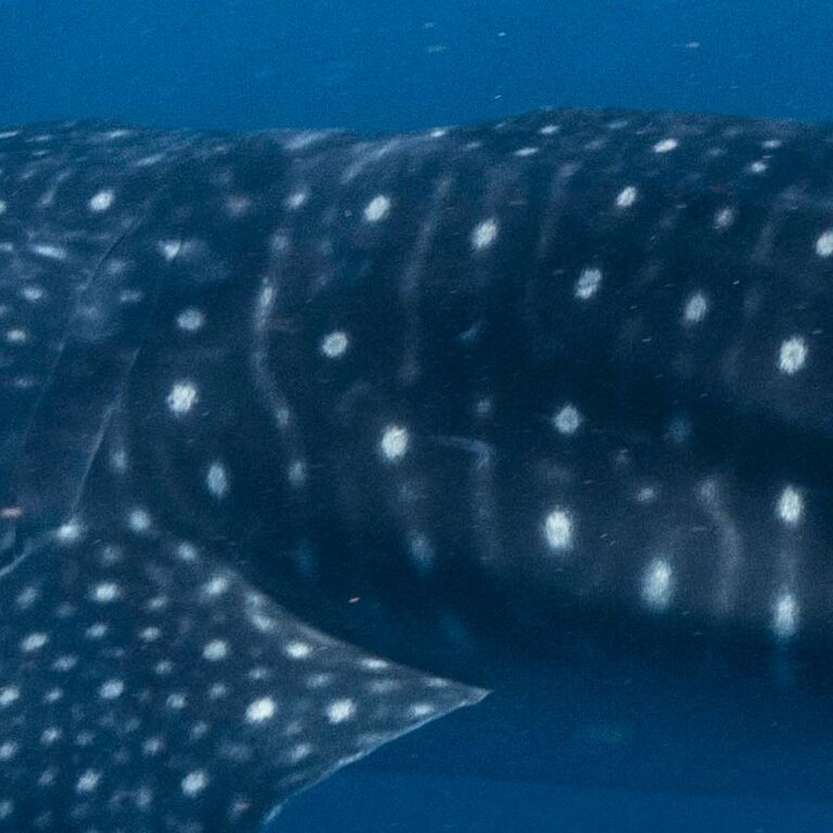 b3710276-7e03-4f79-a4bf-6c89ac1b9cf1