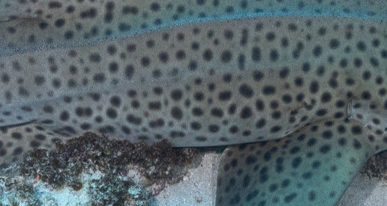 994a9cfa-3ed6-41aa-9663-9efef2959478