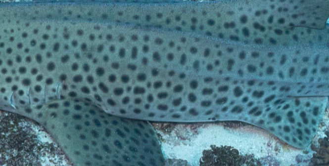 994a9cfa-3ed6-41aa-9663-9efef2959478