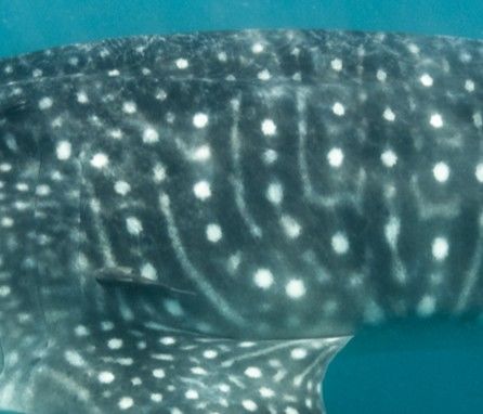 76fece57-1f34-4e3c-b85e-76ac13def293