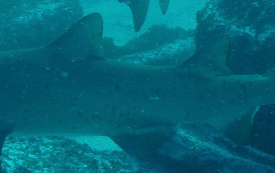 8ea088f3-528d-4322-b5bc-3cd26b485ce8