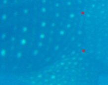 e10a5721-e228-4a5f-8099-94f96d3eb3b0