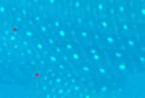 e10a5721-e228-4a5f-8099-94f96d3eb3b0