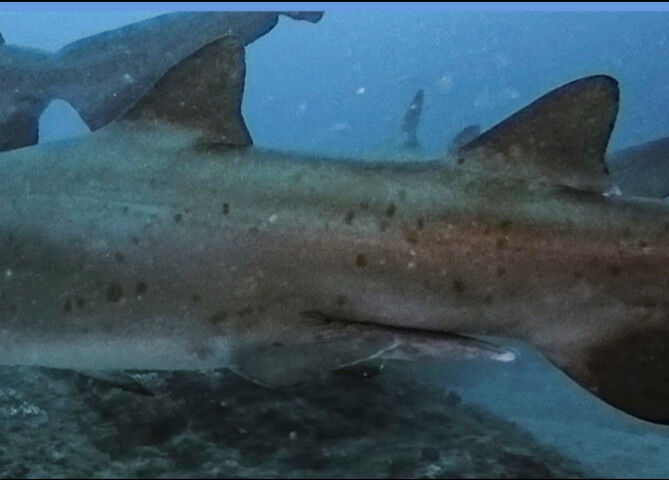 6f79fb43-995f-45ce-ba1a-dd2235b5bebc