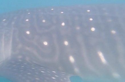 73f3eb63-24e2-414d-ab77-db41f46c2985