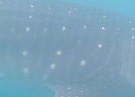 73f3eb63-24e2-414d-ab77-db41f46c2985