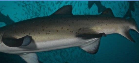 d4650413-3983-4b24-acce-fd445df38959