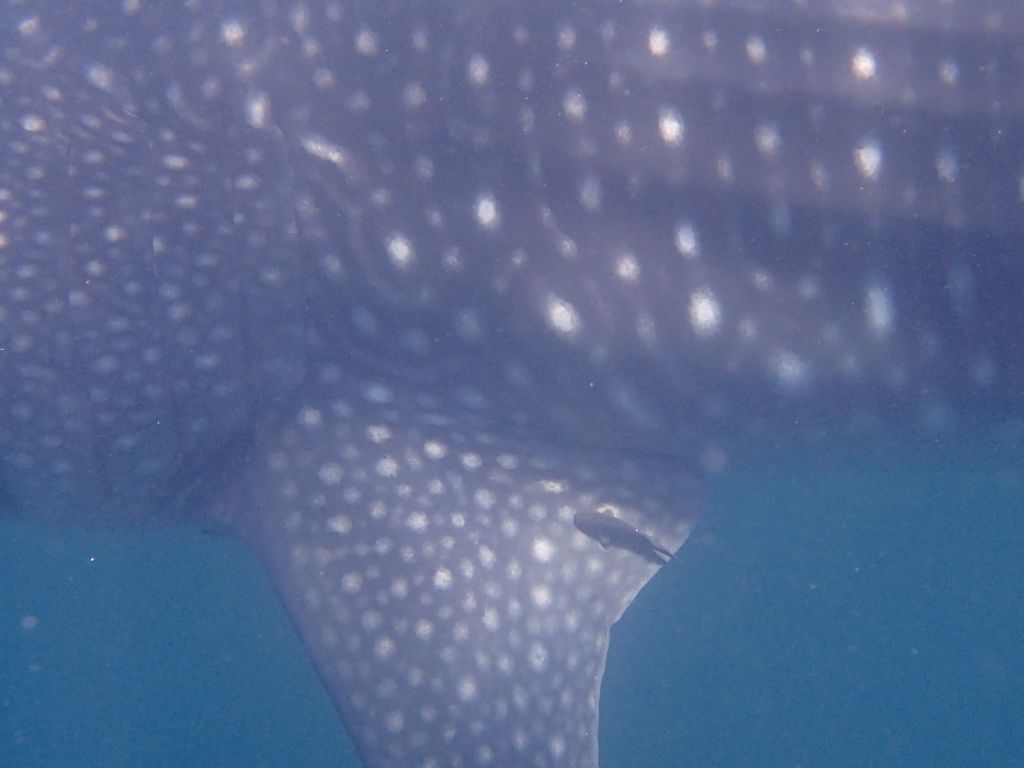 c0b8cd43-e6ab-46a7-b7fe-398735f28389