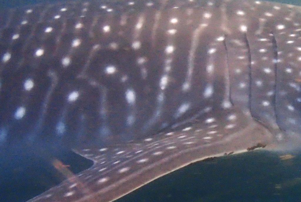 6a2960bd-0f58-4a5d-a08c-1753a4447acd