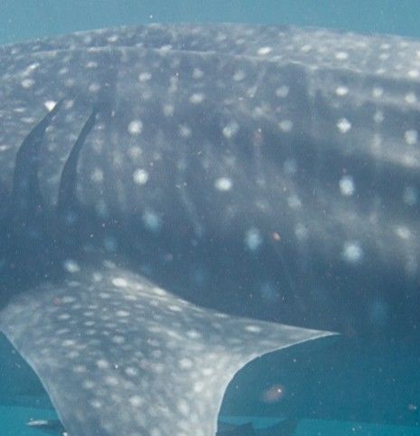 cda510ff-c756-4676-a262-8e6ccb0c0976