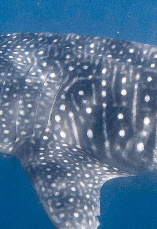 c14bc9e0-5f75-4abb-a867-e0c7b29ace8b