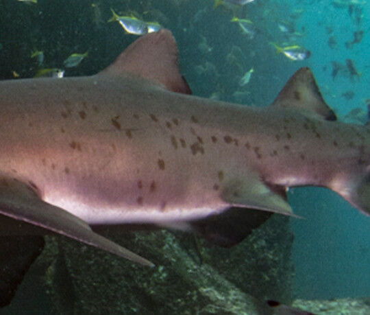 6f73f460-242f-4bb6-9761-47e7ccb85d9b