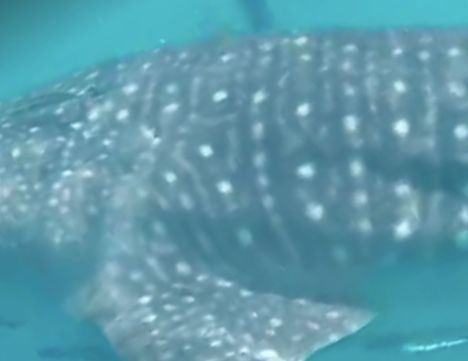 6db7fee1-4ff5-48ef-b7d0-cf6e4ef3e6c5