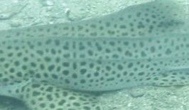 c5bd14f7-5b85-4950-8a49-c5b90e2d1da3