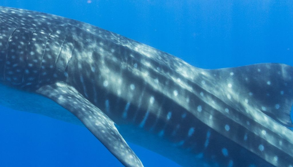 9c684de2-fcb2-4167-8d16-9707bf6e2911