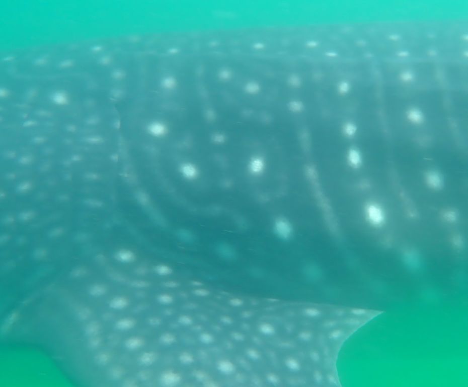 132aa094-db00-4b12-b9c5-17763a4c453d