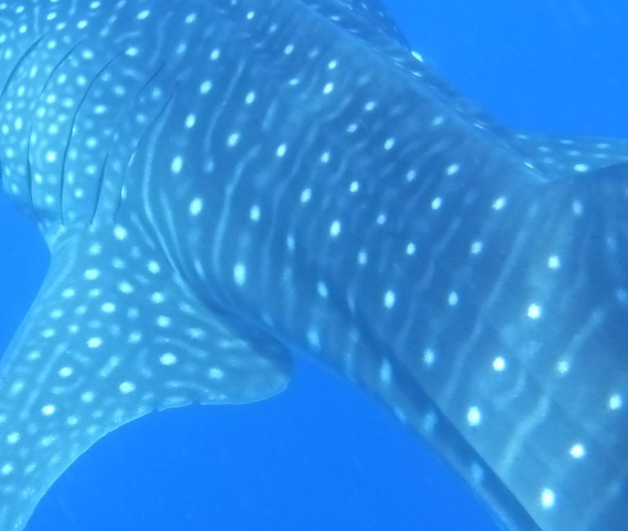 c3fcf782-43b0-470a-9b6f-5f5ea5f6ca27