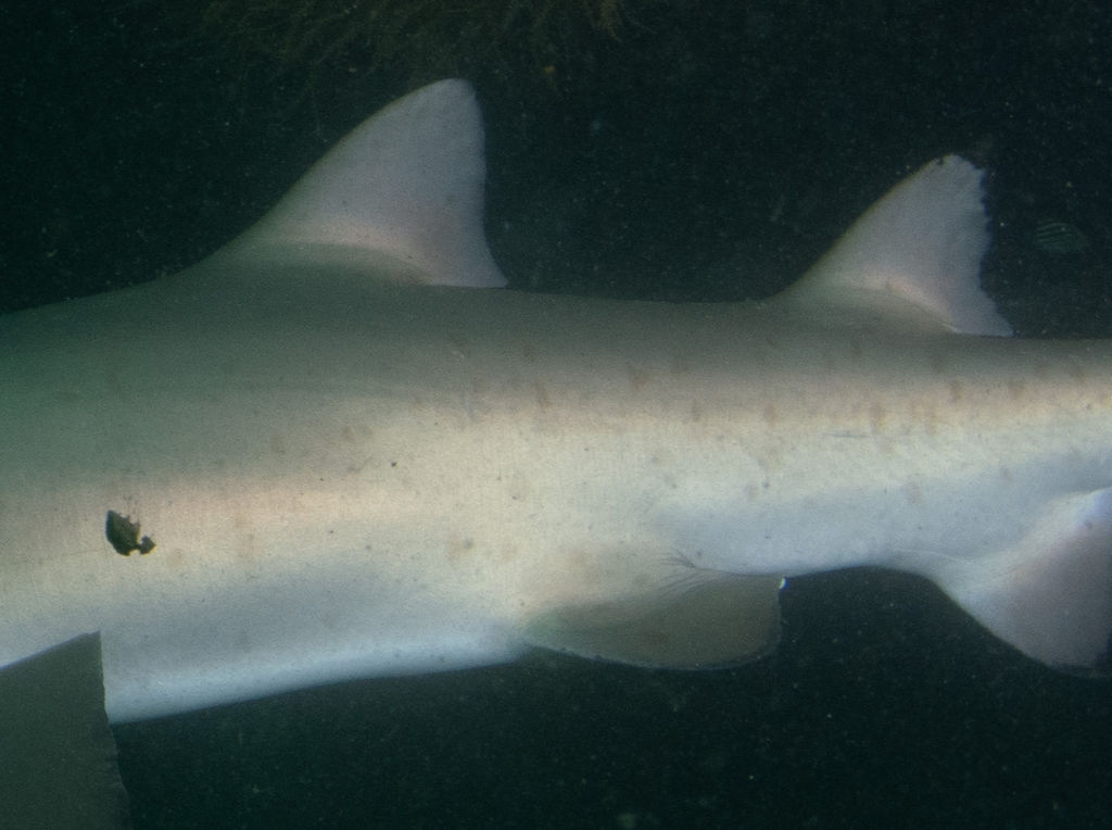 baa70f47-3df0-417a-a4ed-7b9db3a6e1e4