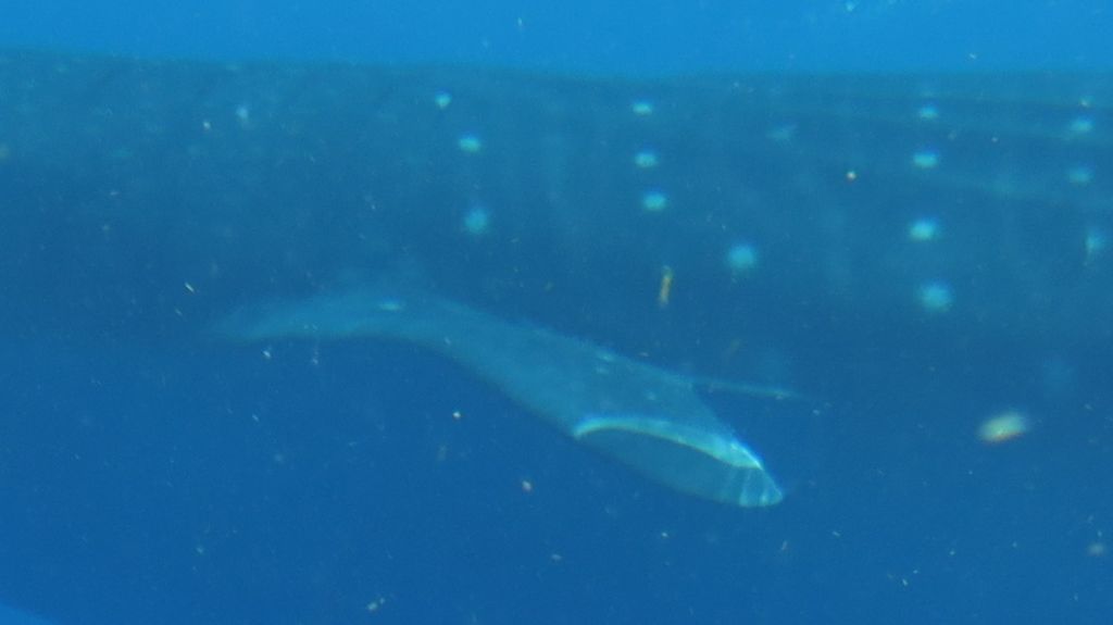 34e85dbe-c286-4534-9163-40c39939316c