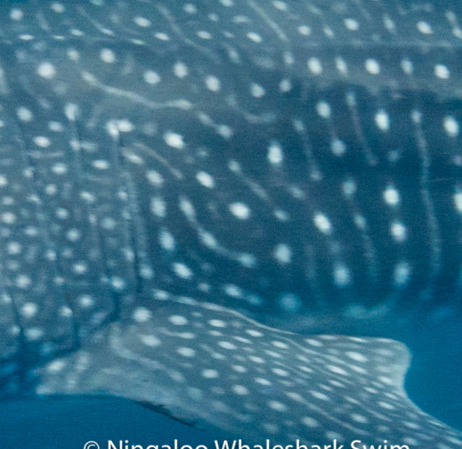 f5e52631-b895-495e-9e3f-41cfee01ed3b