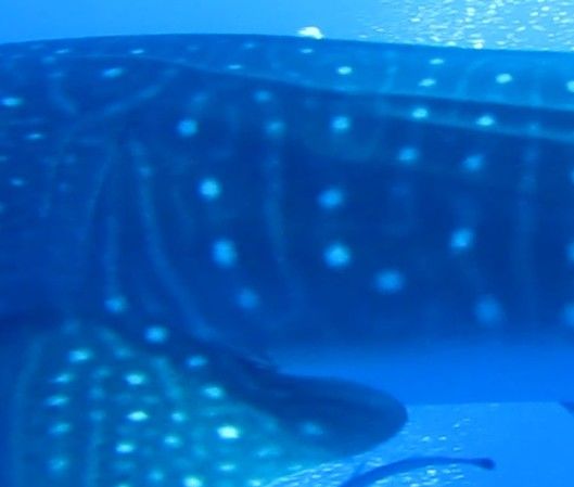 61429b3f-8107-4a7f-8623-e970050eebb9