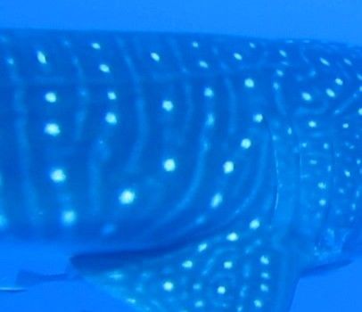 61429b3f-8107-4a7f-8623-e970050eebb9